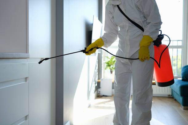 Best Mold Odor Removal Services  in Telford, PA